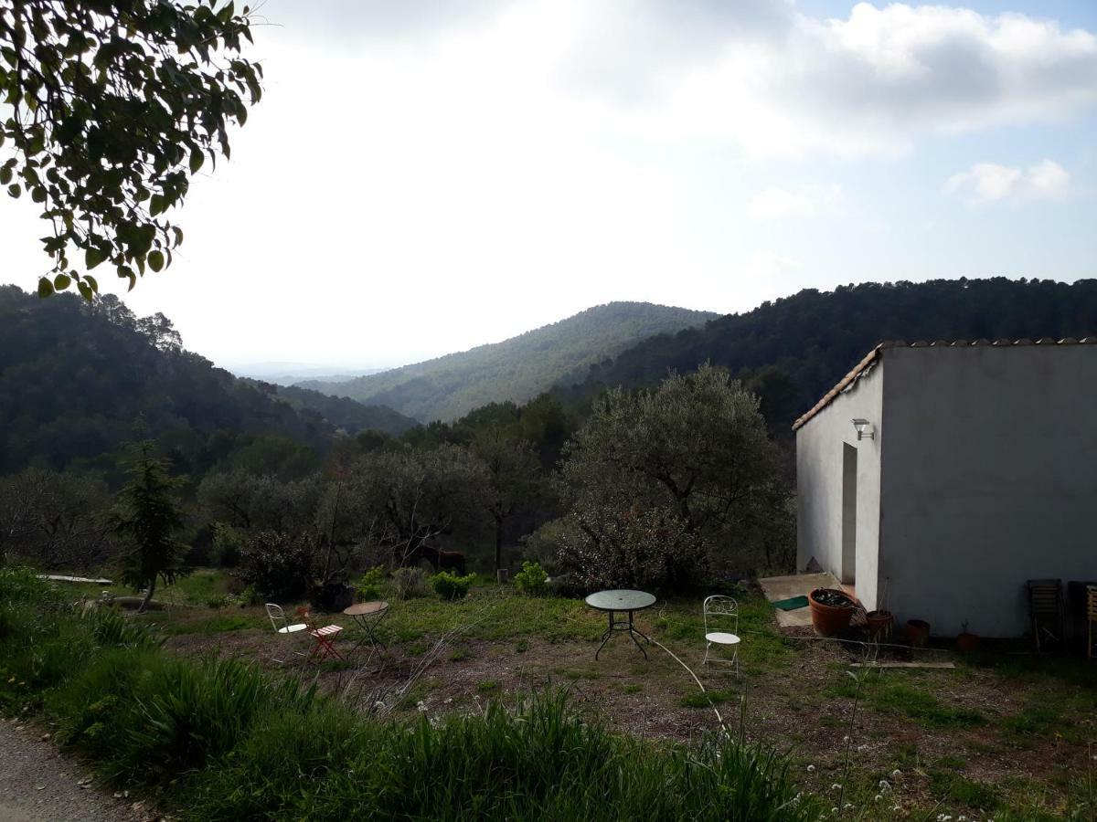 Maison De Campagne L'Etang Seillans Luaran gambar
